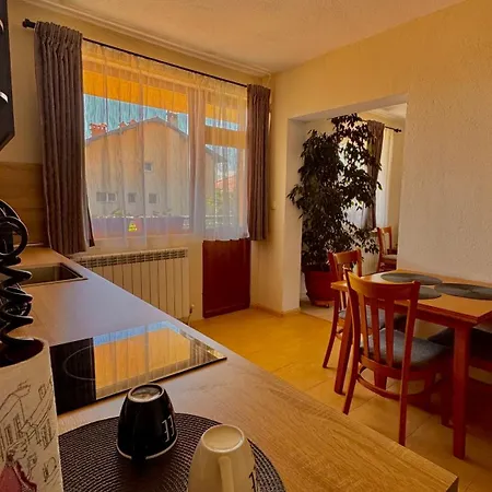 Dima - Vihren View & Free Parking بانسكو