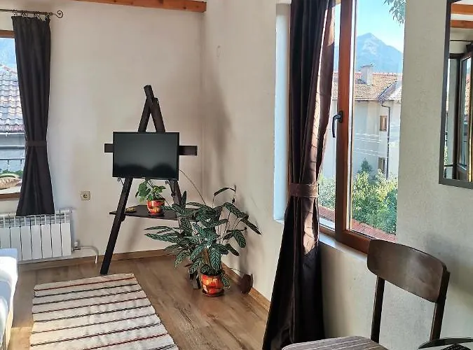 за гости дима バンスコ