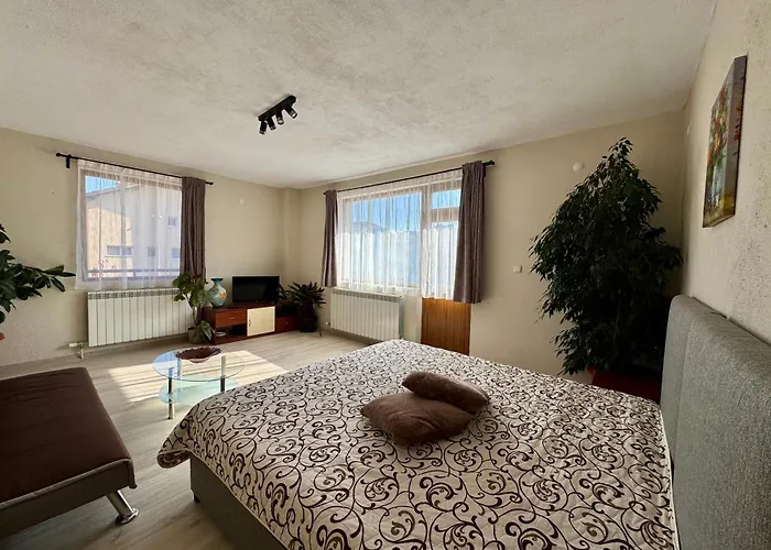 за гости дима * バンスコ